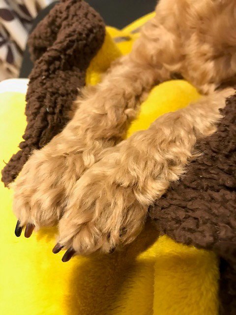 占い師麺子のお気に入り写真2